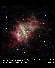 Star Forming Region RCW49