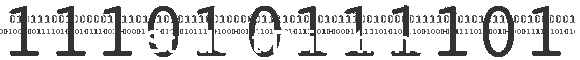 Student Driections